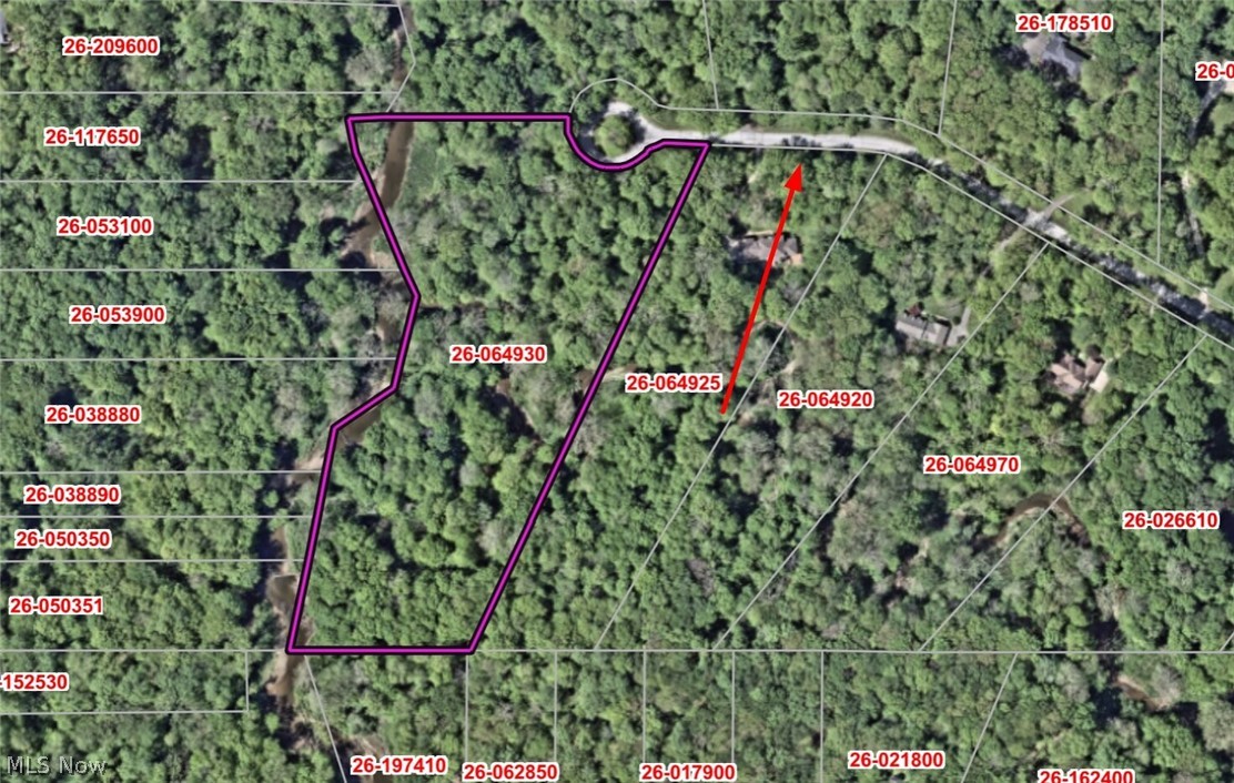 Whispering Pines - Land