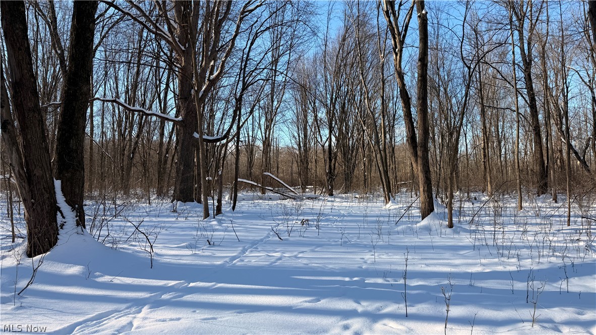 This offering includes approximately 57 acres of vacant land located in Summit and Portage Counties, Ohio. The property is made up of three adjoining parcels being sold together as one combined tract. The land is fully wooded and currently undeveloped.
The parcels feature a mix of industrial and residential zoning, providing flexibility for a range of potential uses subject to local zoning regulations and required approvals. Portions of the property are located near an established industrial park, offering proximity to existing commercial and industrial development while maintaining a natural wooded setting.
The property consists primarily of mature tree cover and natural vegetation. The wooded landscape may offer privacy and visual buffering from surrounding development. Buyers may consider a variety of future plans depending on zoning requirements, access, and utility availability.
Access is influenced by the surrounding road network serving nearby industrial and residential uses. Buyers are encouraged to conduct due diligence regarding frontage, access points, and any required improvements. Utilities are believed to be available in the general area due to surrounding development, but buyers should independently verify availability, capacity, and connection requirements for all utilities.
Zoning classifications, permitted uses, setbacks, and development standards vary by parcel and jurisdiction. Buyers should consult Summit County and Portage County zoning authorities to confirm intended uses and requirements.
The property is being offered as-is with no representations regarding future zoning changes or development approvals.