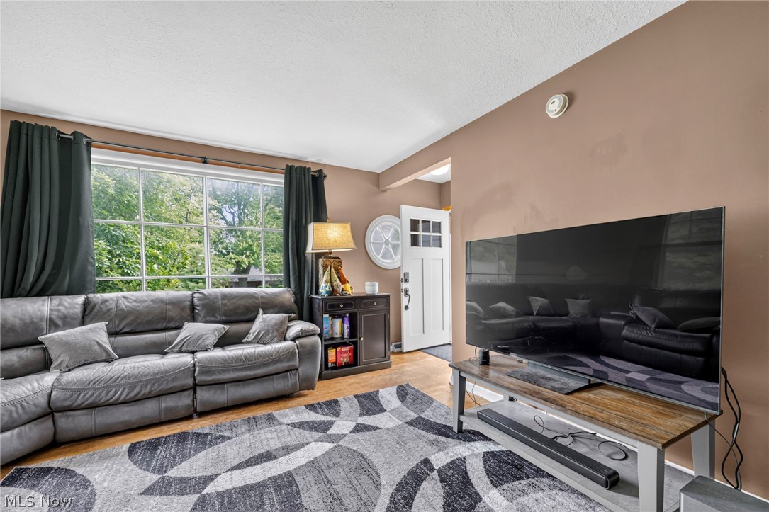 Wickliffe Heights 03 - Residential