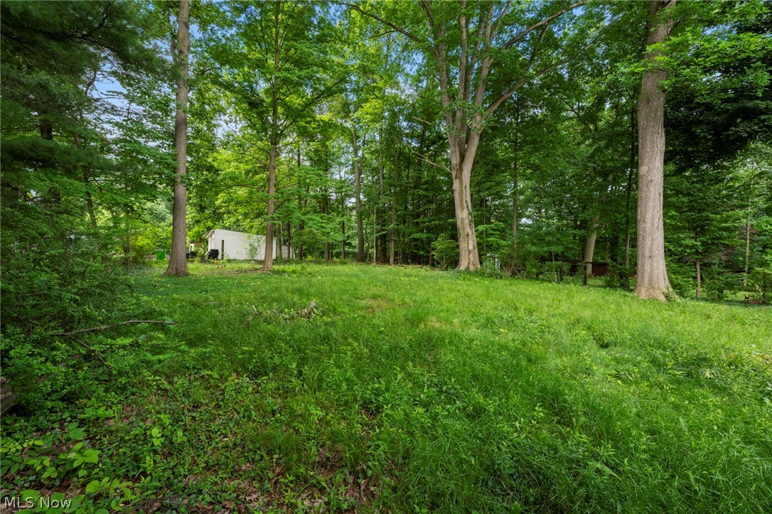 Wickliffe Heights 03 - Residential
