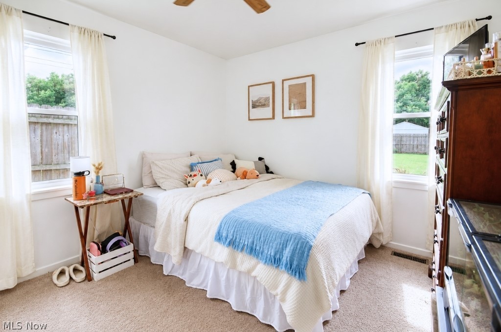 Mentor Headlands Park - Residential