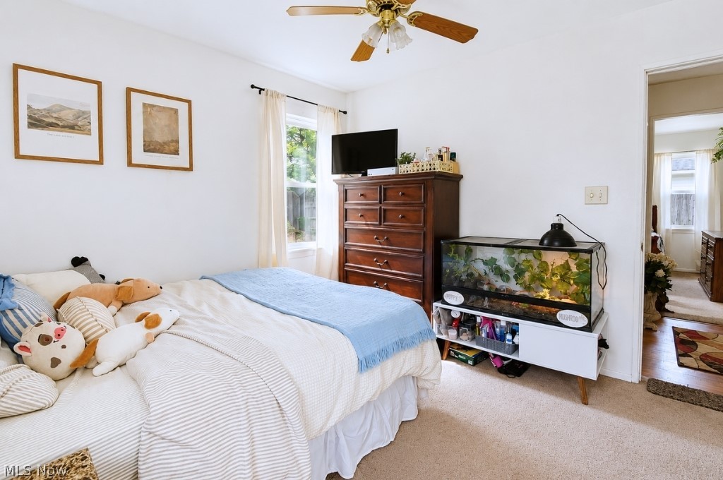 Mentor Headlands Park - Residential