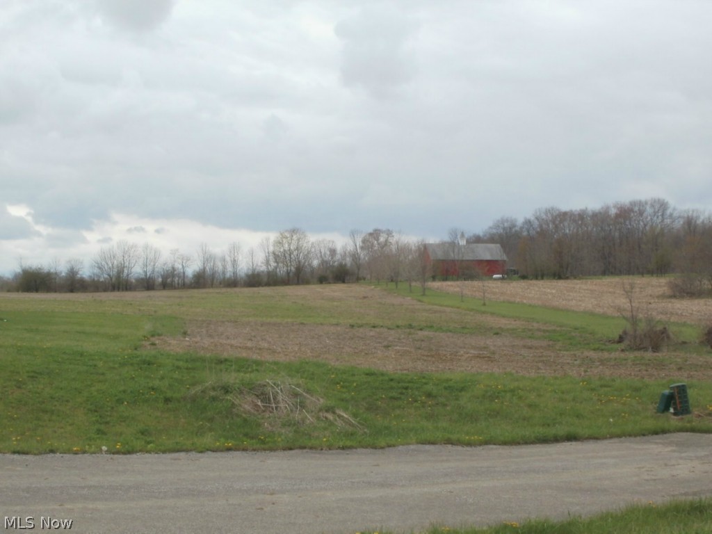 COUNTRY BUILDING LOT situated in the Village of Garrettsville, area of new homes, under ground utilities.