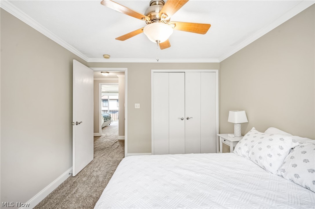 Pine Hill Condos - Residential