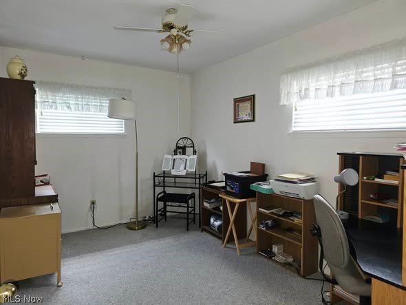 Ridgewood Park - Residential