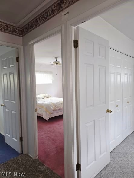 Ridgewood Park - Residential