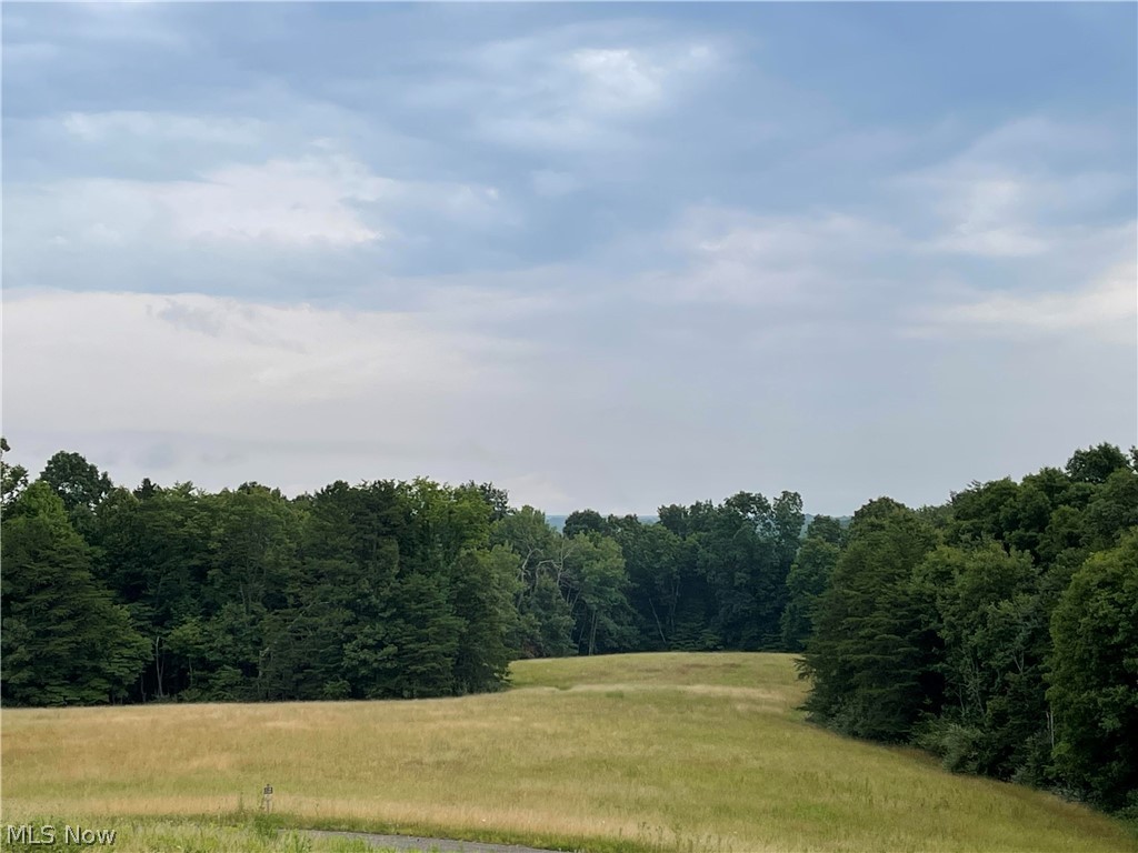 Your own slice of privacy awaits just out Federal Rd. in Washington County.  Located in the Warren School District, this lovely piece of land is cleared and ready for new owners. Abundant wildlife & lush wooded surroundings offer a peaceful country setting. This plot of land is scheduled to be surveyed off of a larger parcel, and will include approximately 11.8 acres +/-.    Take the drive out to envision your dream home here.