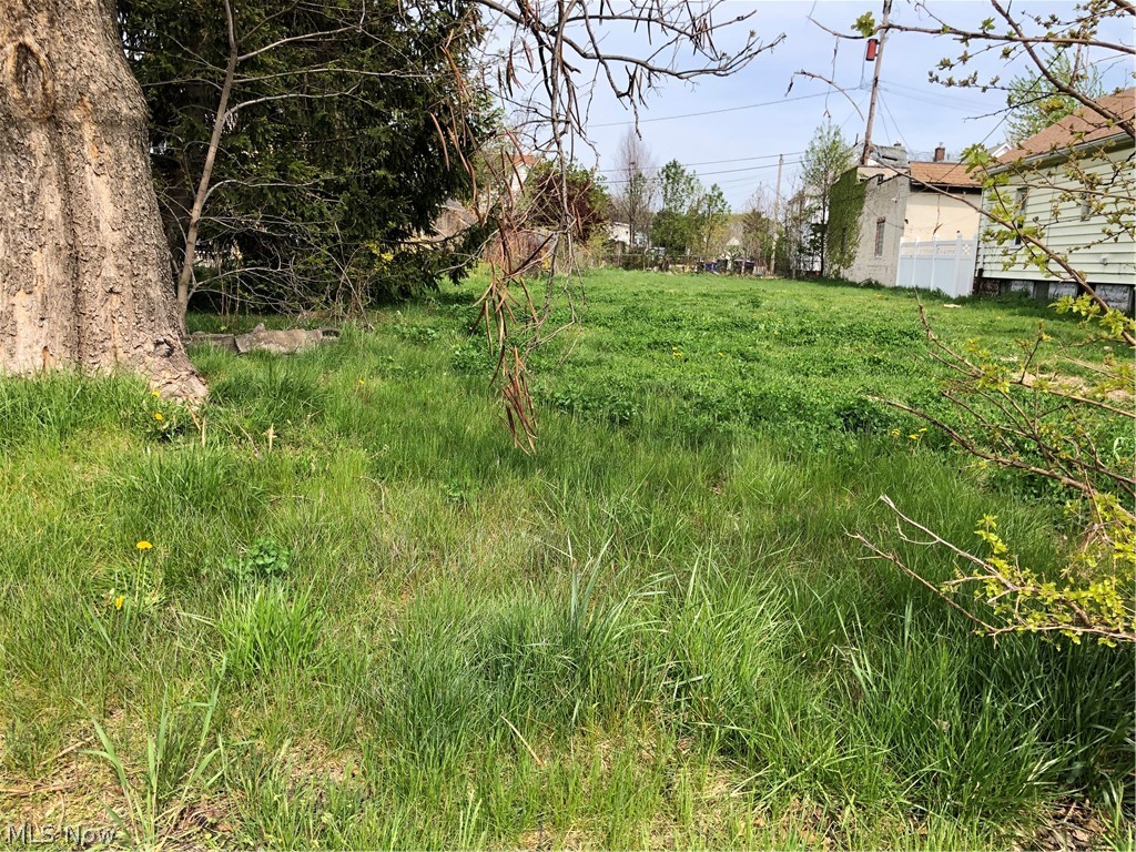 Residential vacant land that sits on 0.155 acres.  Lot size frontage is 40.0 sq. ft. and the lot size is 6,760 sq. ft.  Located in the Detroit-Shoreway neighborhood and near Ohio City.