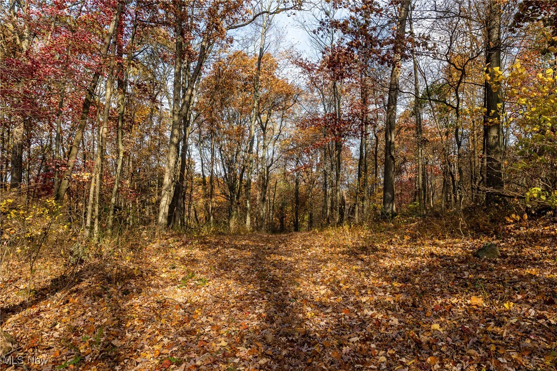 On-site auction Friday, December 13th at 2:00 PM. 46.9 acres w/50’ of frontage accessed from Kedigh Hollow Rd. Mostly wooded, this recreational paradise includes large harvestable hardwoods, and several food plot areas, making it a prime choice for hunting enthusiasts. Address is for location purposes and does not constitute a mailing address.