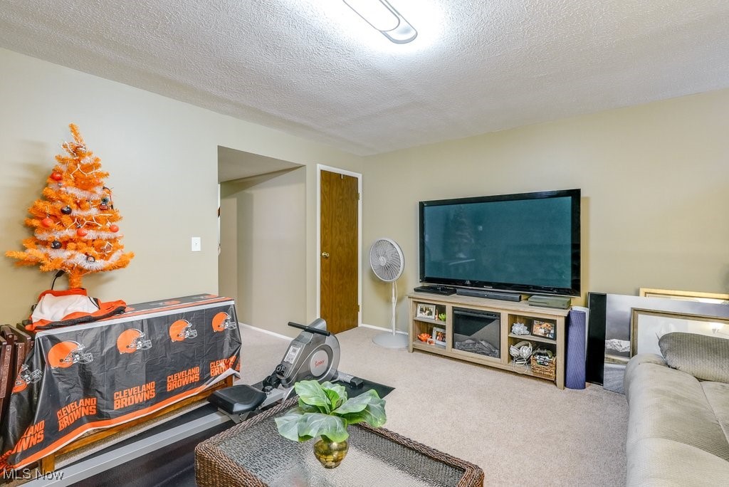 Woodland Lake Condo - Residential
