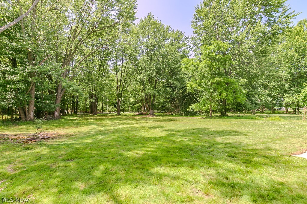 Original Willoughby Township 04 - Residential