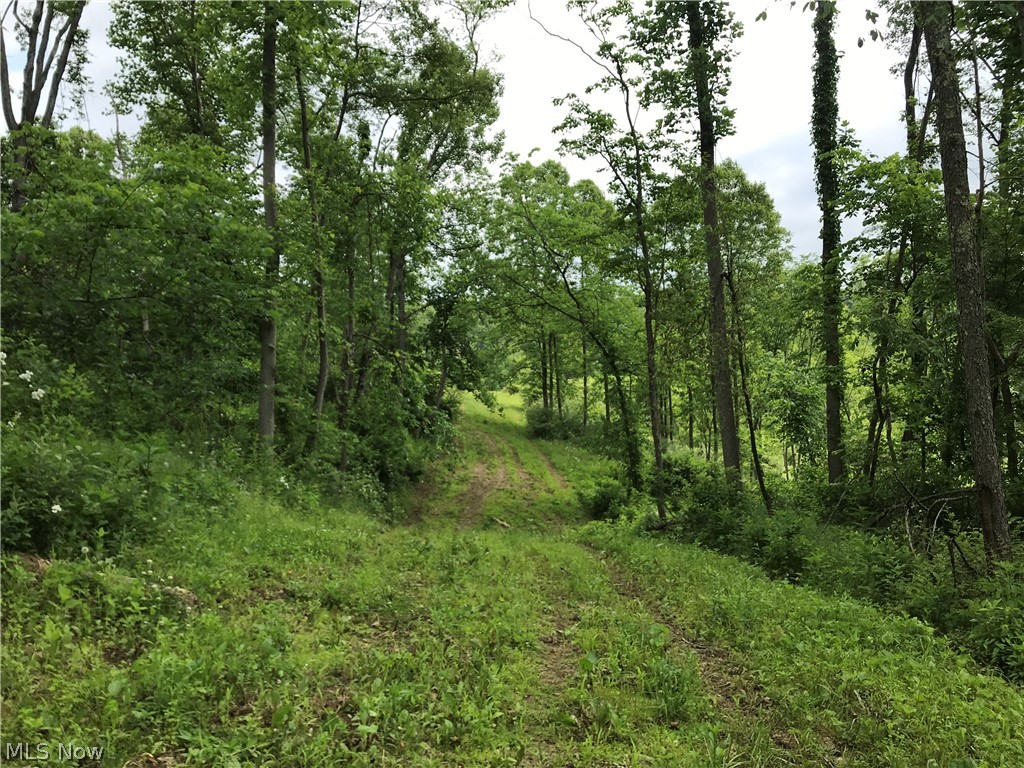 Usml - Land