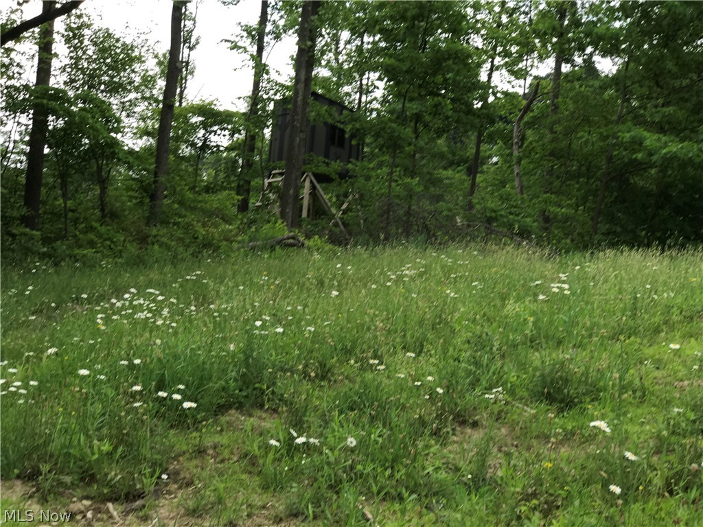 Usml - Land