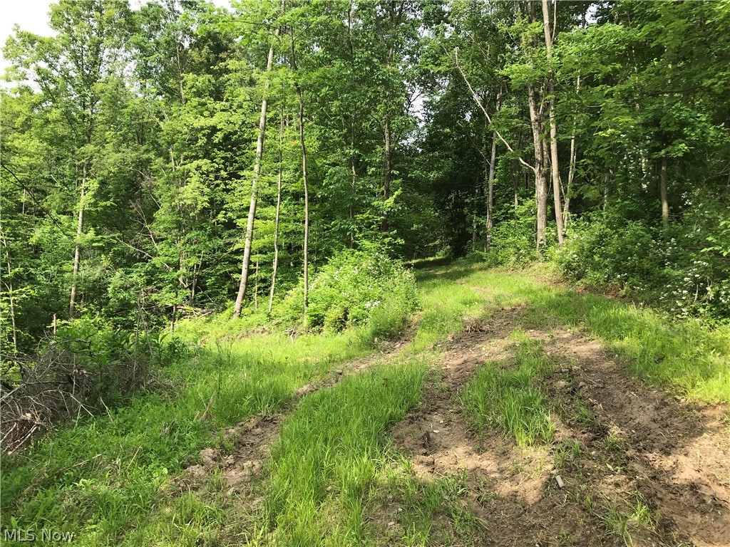 Usml - Land