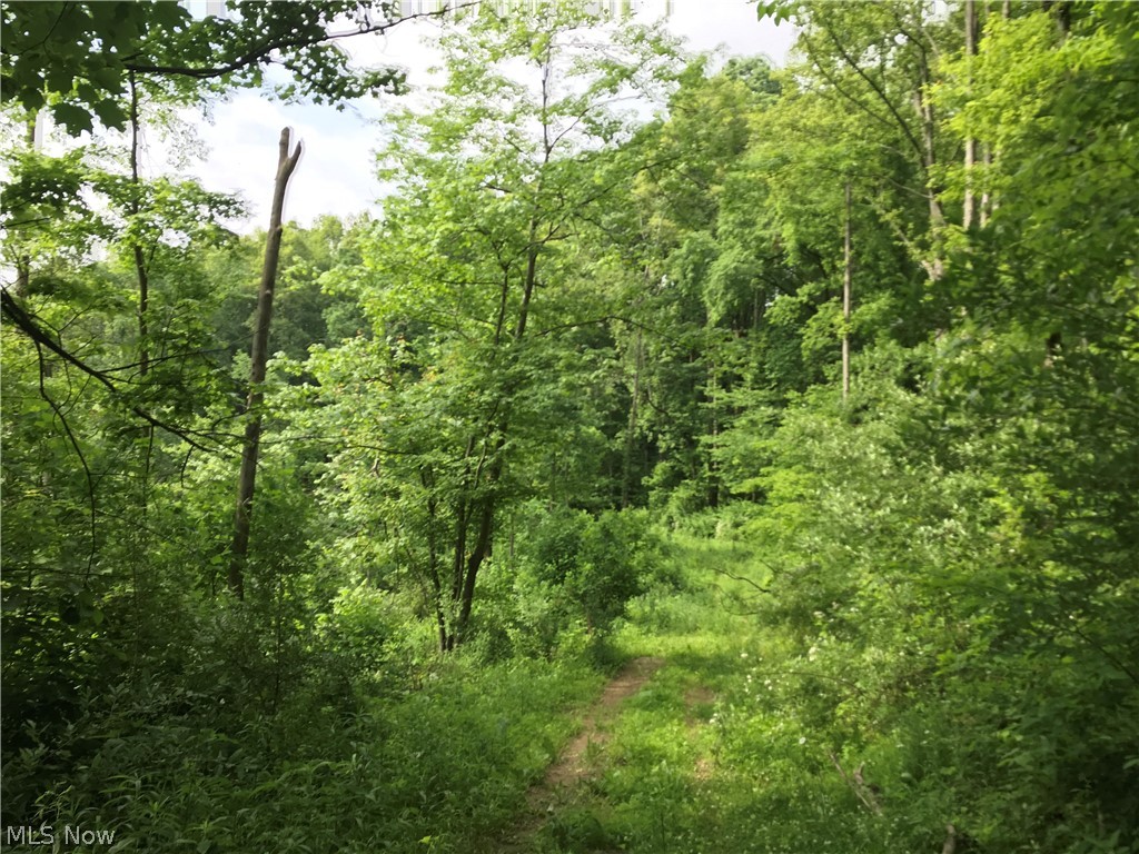 Usml - Land
