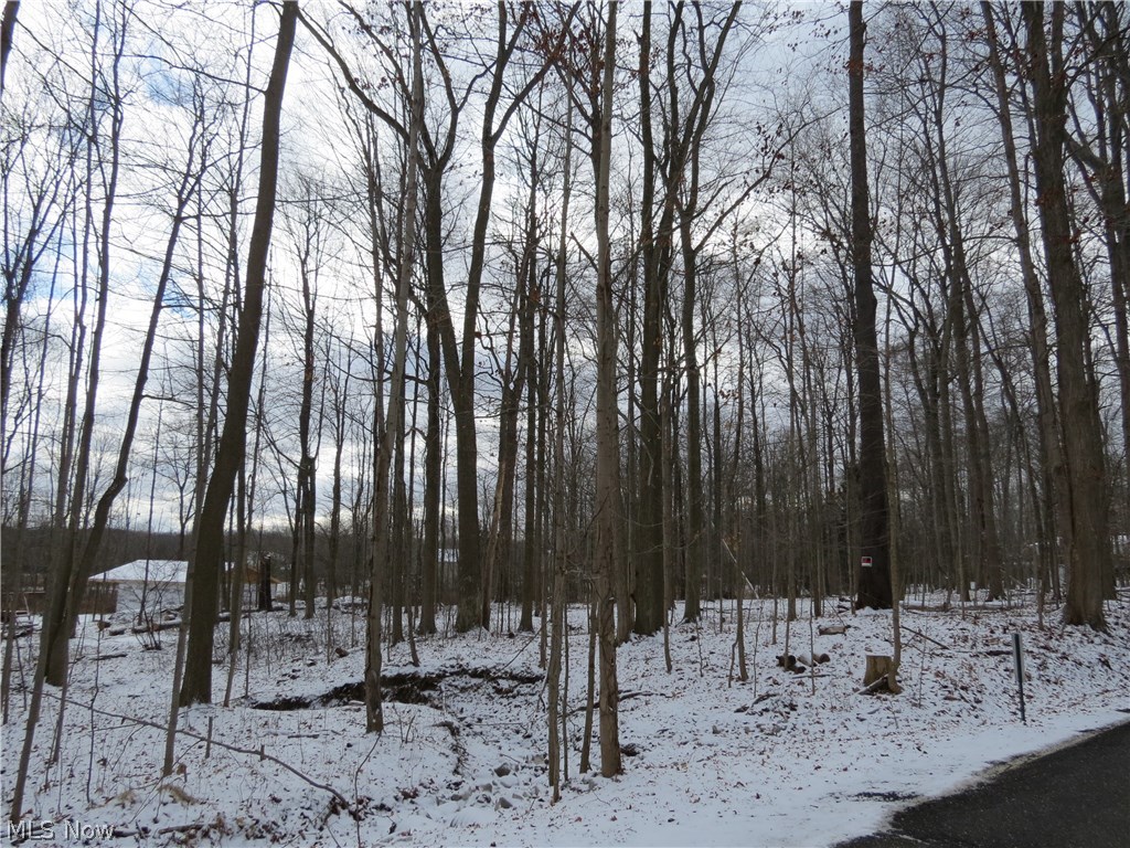 Gorgeous wooded 1.52 acre lot.
