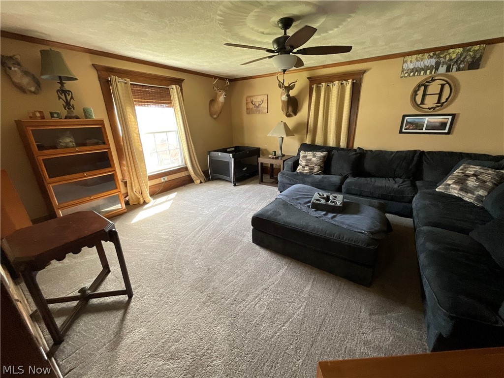 Village/Newcomerstown - Residential