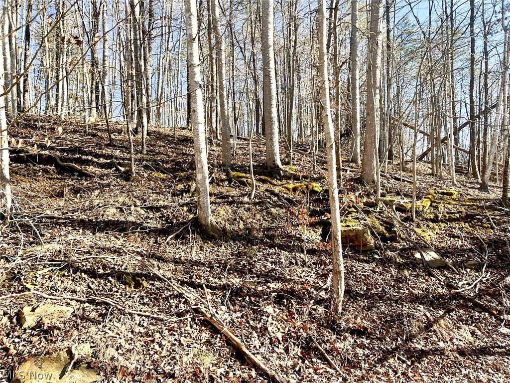 A desirable acreage tract in Ripley, WV in Jackson County, offering a wide range of potential uses. Suitable for hunting and recreational enjoyment, or future homestead potential with the opportunity to build. Gandee Run Creek runs through the property, providing a natural water feature and scenic setting.