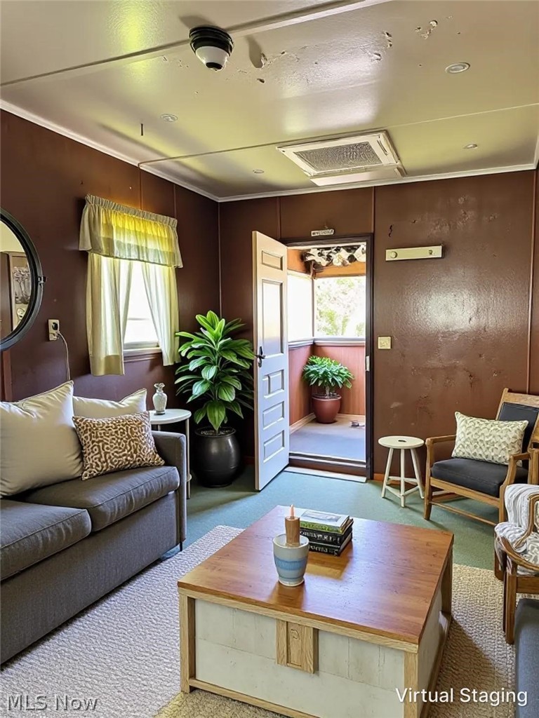 Log Cabin - Residential