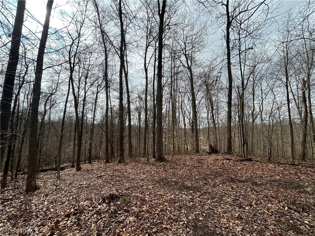 This is a well-rounded hunting, recreational, and potential building tract set in a strong whitetail area. The property features beautiful, established woods with rolling hills, defined draws, and hardwood ridges that naturally create ideal wildlife movement and stand locations.

The layout of the land offers multiple excellent building sites, giving you the opportunity to create a home or cabin with scenic views and privacy. With power available at the road and good road frontage, access and usability are already in place.

From a hunting standpoint, the terrain sets up well, and the eastern access is a key feature that serious hunters value when targeting mature deer. This is a tract that combines function, beauty, and long-term potential in one package.