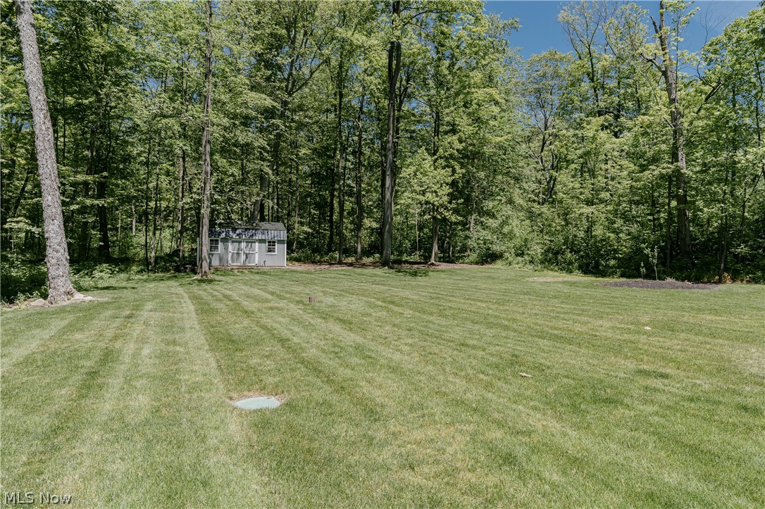 Woods - Residential