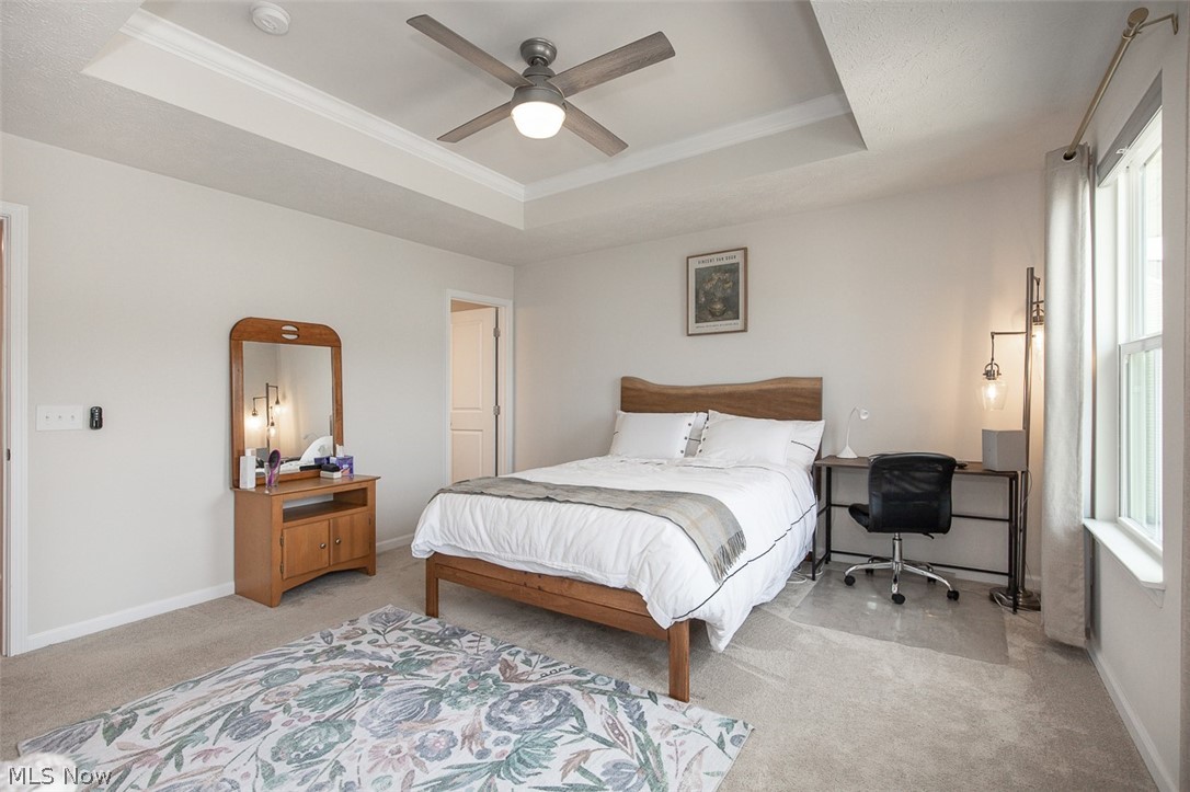 Meadows/Copley Rep #2 - Residential