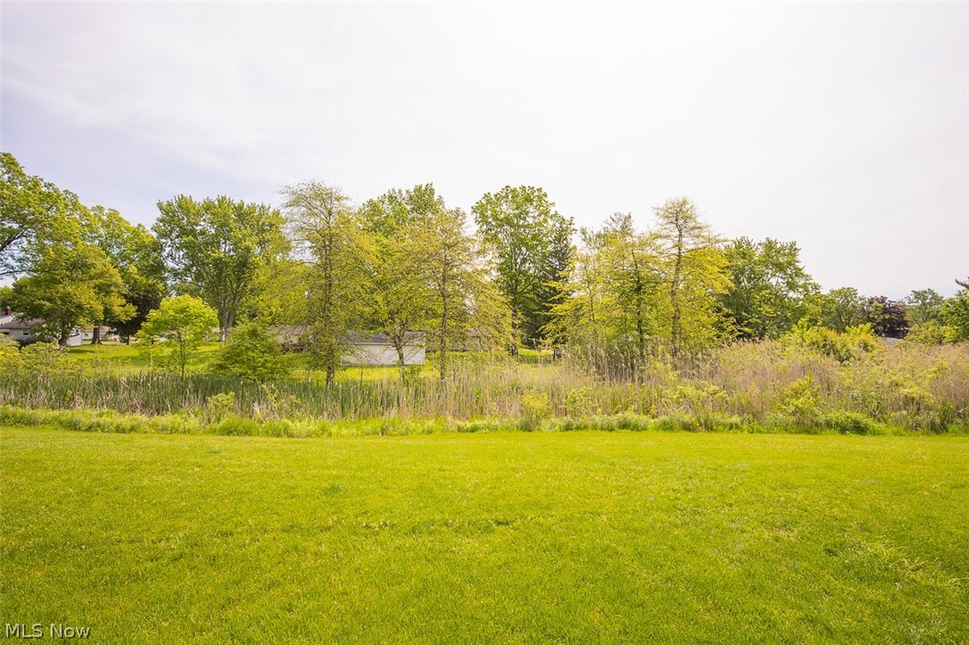 Meadows/Copley Rep #2 - Residential