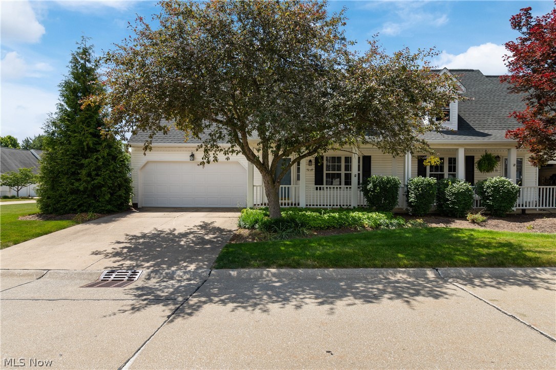 Welcome home to this exceptionally spacious 4-bedroom, 3-full bathroom condo located in the highly desirable Medina City School District. Offering the ease of a low-maintenance lifestyle without sacrificing space, this rare corner unit boasts a larger yard and fantastic curb appeal.The main level features a desirable bedroom and full bathroom setup, paired with main-floor laundry for ultimate convenience. The heart of the home is a sprawling living room centered around a beautiful brick gas fireplace, perfect for cozy evenings. Transition effortlessly into the large kitchen, which offers new vinyl plank flooring, classic wood cabinetry, generous counter space, and an expansive dining area ideal for hosting gatherings. Upstairs and throughout, you will find remarkably spacious bedrooms, each complete with large double closets for incredible storage. Step out from the family room onto your private wood deck, beautifully framed by a white vinyl privacy fence—creating a quiet outdoor oasis. Complete with an attached 2-car garage, this move-in-ready gem offers the perfect blend of space, functionality, and location.