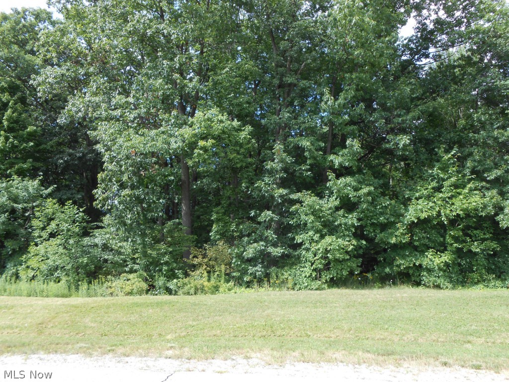 Beautiful lot in Crown Pointe Estates.  Sensational countryside surroundings, great for nature lovers.  Picturesque views yet close to major thorough fares, schools, churches, shopping and recreation.  Premier location just waiting for your dream home.  Bring your own builder.
