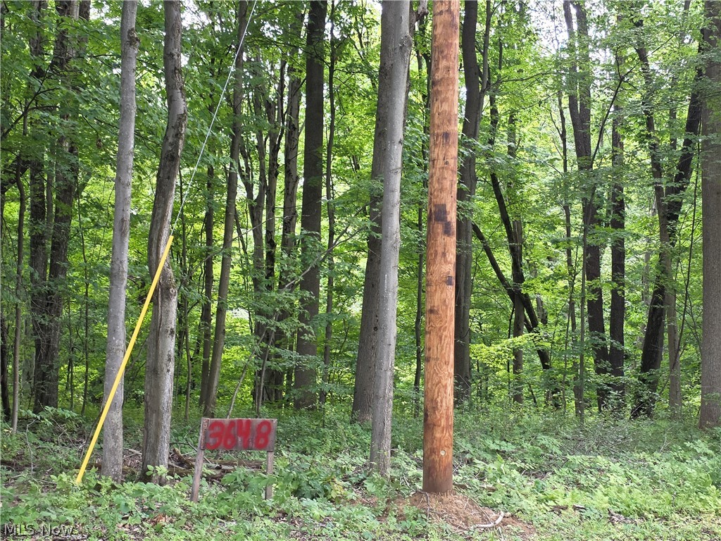Your private retreat near the Grand River! Imagine waking up each day in the heart of nature, where towering trees surround you in peace and privacy. This secluded wooded property is more than just land-it's the perfect canvas for your dream home, tucked away from the world with no neighbors in sight. Just a short stroll from the beautiful Grand River, it offers serenity of a retreat with the freedom to design exactly what you've always envisioned. With electric already on property to tie into and, septic soil tests complete. Much of the prep work has been done for you-making it easier to bring your vision to life. Whether you dream of a cozy cabin or a grand estate, this slice of nature is ready to welcome you home. If you've been searching for the perfect place to create a private sanctuary, this is it-spacious, secluded, and full of potential.