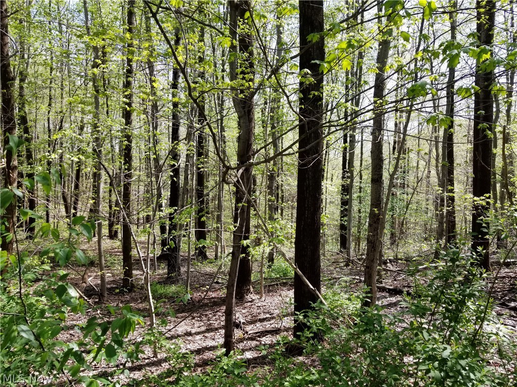 Silver Maple Condo - Residential
