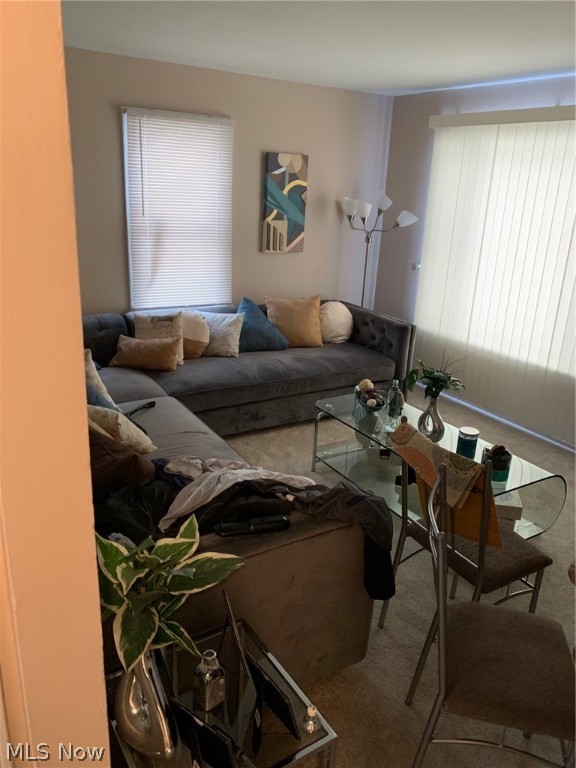 Oak Park - Residential