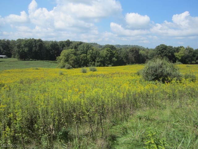 5 vacant acres in the country. Gently sloping to a small mature woods at the end of the parcel. Great gettaway/campsite or permanent homesite. Just 10 minutes to Gaysport, off Cutler Lake Road.