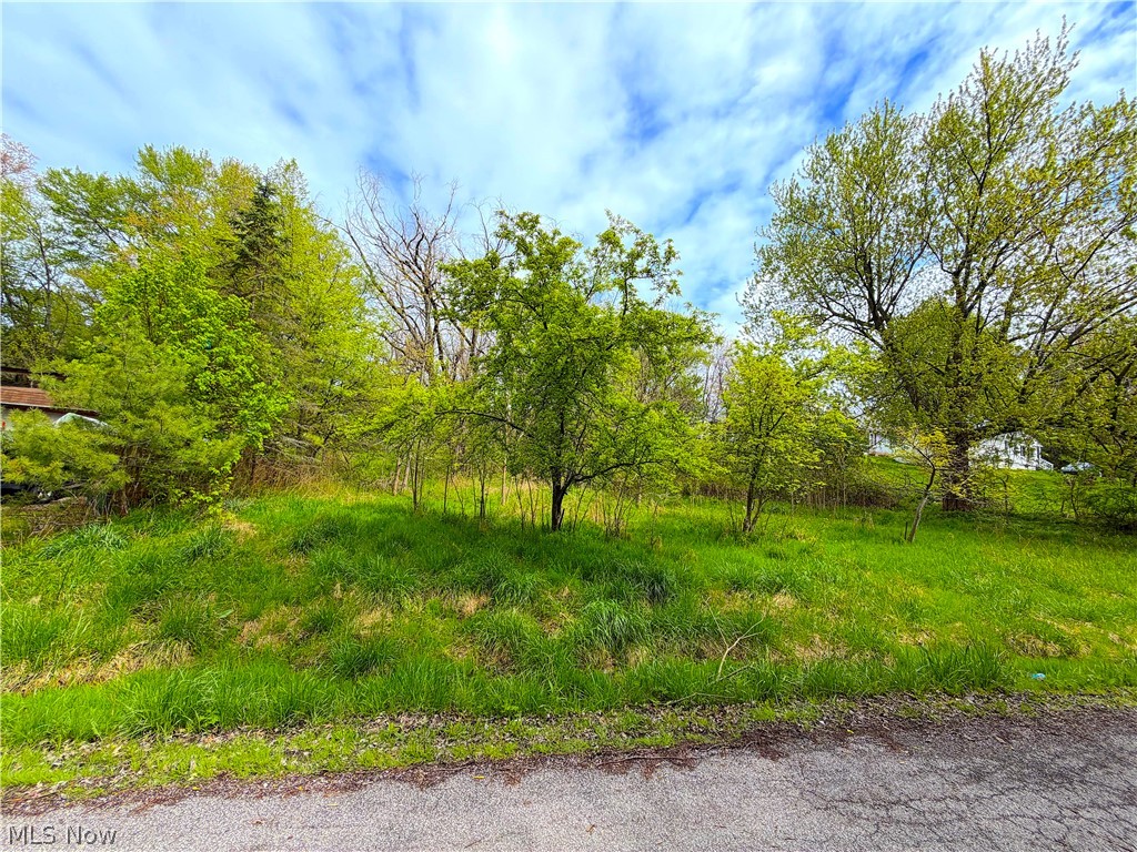 This spacious, double-lot property right off of Lake Erie offers a rare opportunity to own serene, partially wooded parcels in a peaceful residential setting. With the combined size of two lots, the land provides ample space for building, expansion, or investment potential. The property features a gentle slope with a mix of mature trees and open grass, creating a beautiful natural backdrop and added privacy. Settled along a quiet roadway, the lot is surrounded by established homes while still maintaining a secluded, park-like feel. The lush greenery and scattered trees make it ideal for a custom home, outdoor living space, or future development. Conveniently located right next to Lake Erie and the Ashtabula Harbor, along with local beaches, amenities, parks, and community resources, this property blends the tranquility of nature with accessibility. Whether you’re looking to build your dream home or invest in land with strong potential, this double-lot parcel is a unique find.