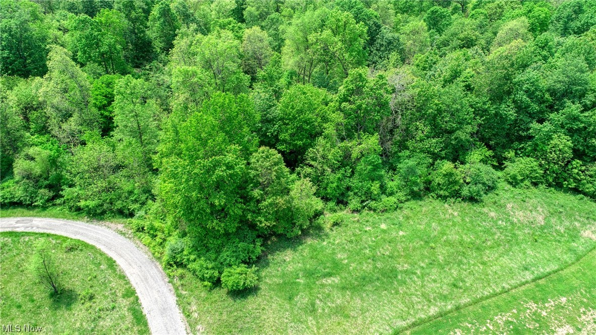A blank slate ready for your Vision.... Bring your Dreams to reality with the peace and serenity from this private subdivision located within one mile to I70 and less than ten minutes to the I70/77 interchange. With less than one hour to West Virginia, Columbus or Canton this convenience makes for the perfect location if traveling from home. The tree lined lots are equipped with underground utilities to include electric, cable and county water. Septic is the buyers responsibility. Buyer to sign Covenants, Restrictions and Easements for Washington Estates. All offers contingent on review of building design. Buyer may choose builder of choice. Homes must be completed within one year of purchasing lot with all landscaping in place. You may purchase more than one lot, limit of two. Lot 17 listed.