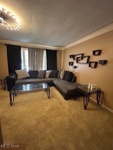 Belvoir Terrace - Residential