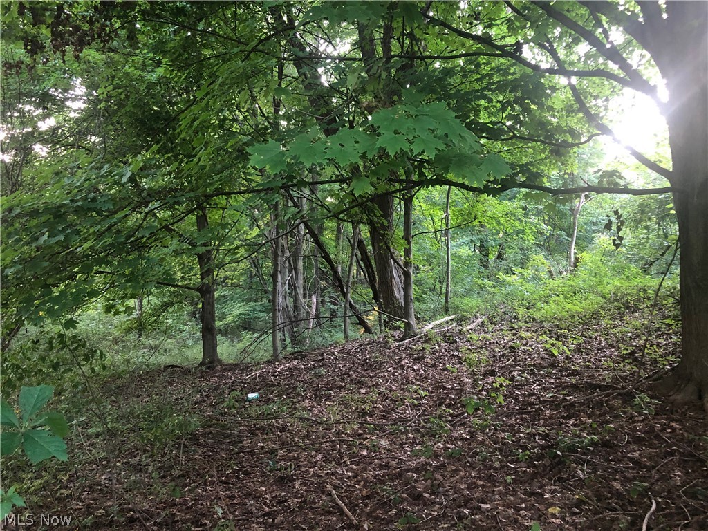 Mantua - Land
