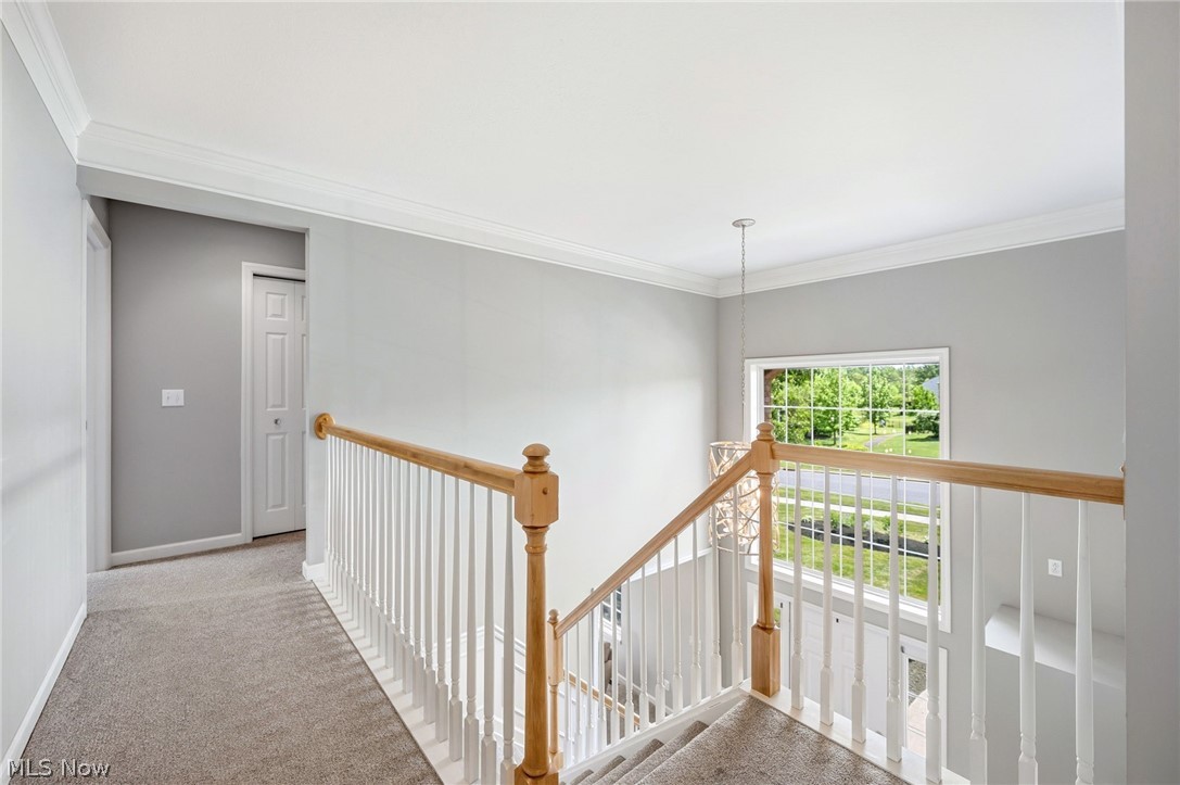 New Hampton - Residential