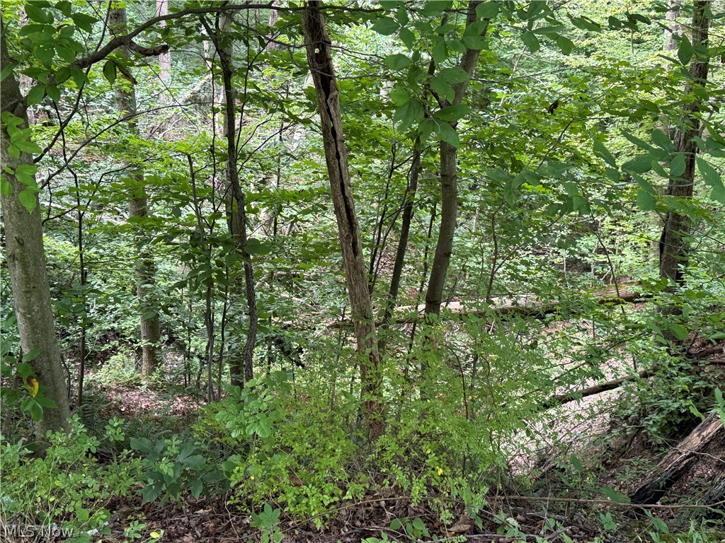 Lake Buckhorn - Residential