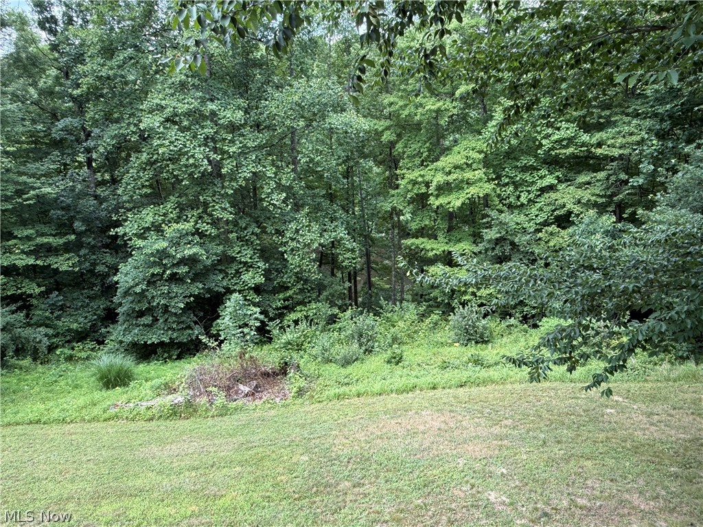 Lake Buckhorn - Residential