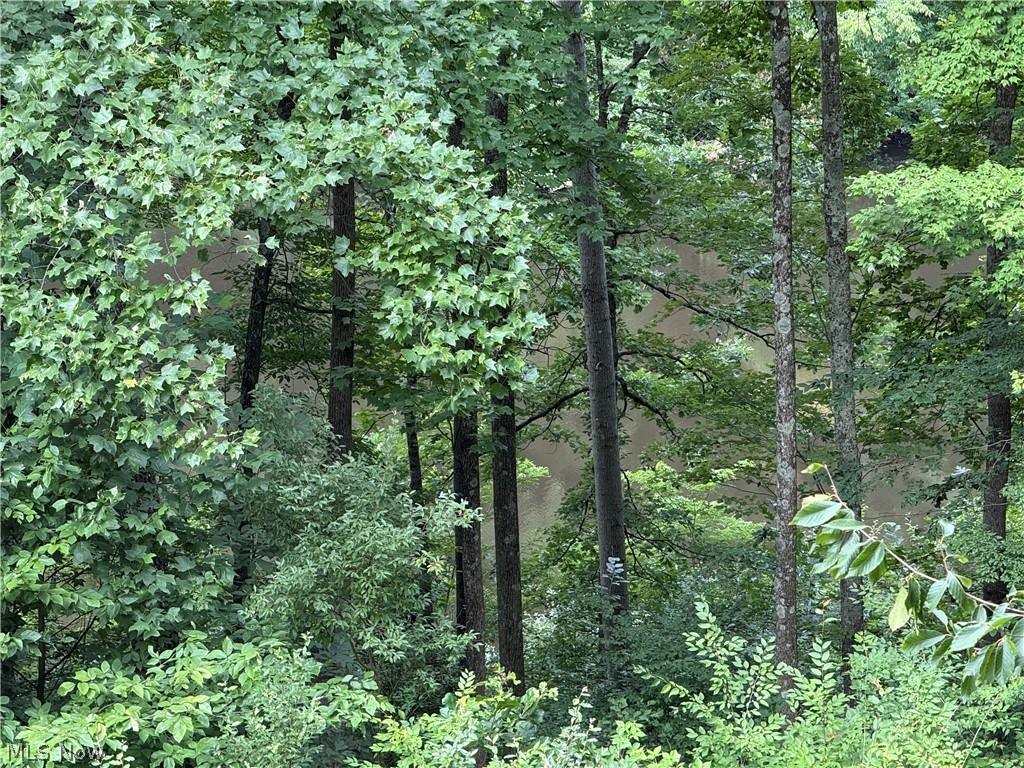Lake Buckhorn - Residential