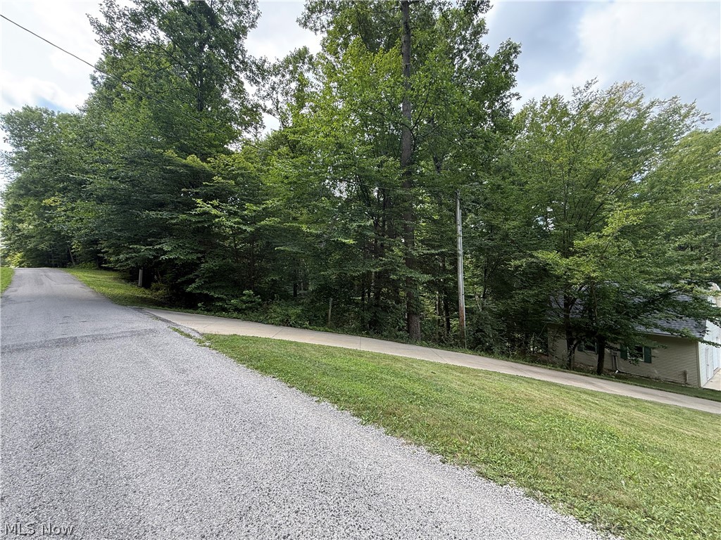 Lake Buckhorn - Residential