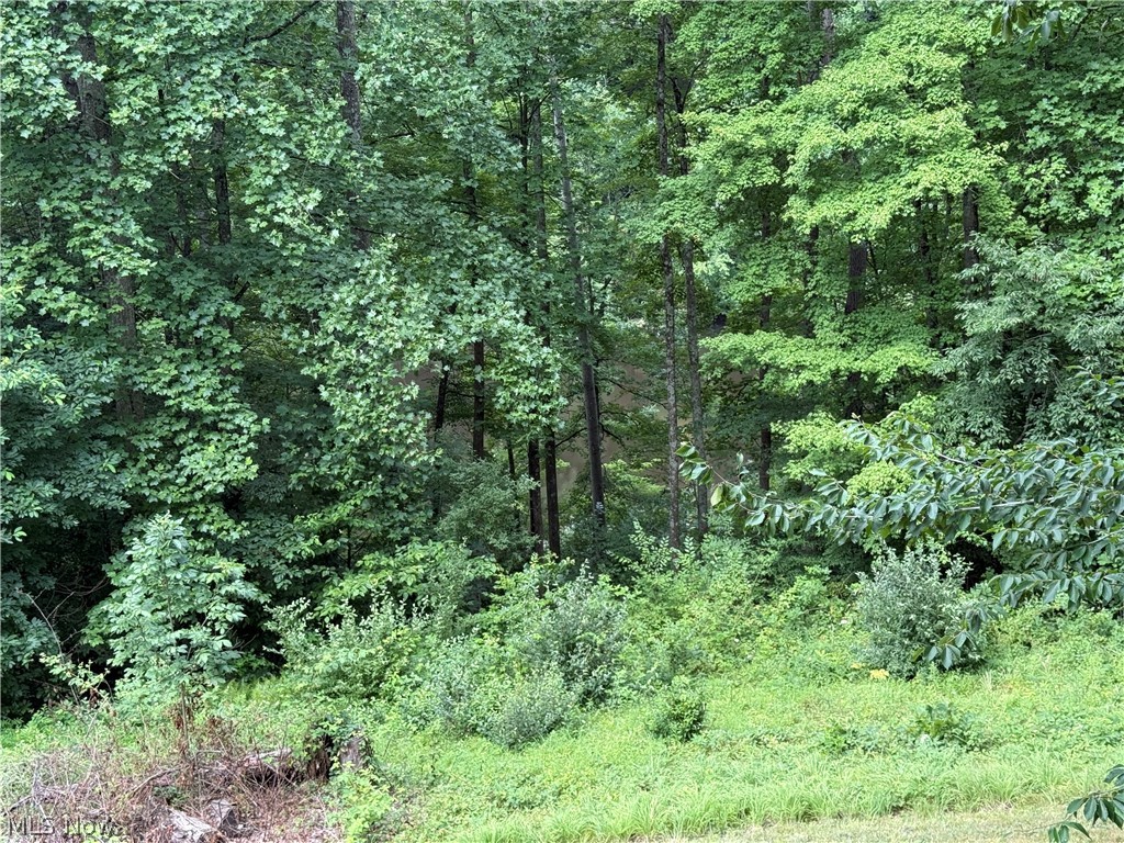 Lake Buckhorn - Residential