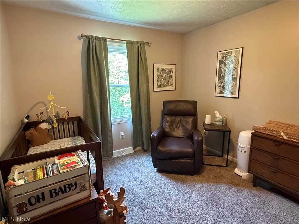 Lake Buckhorn - Residential