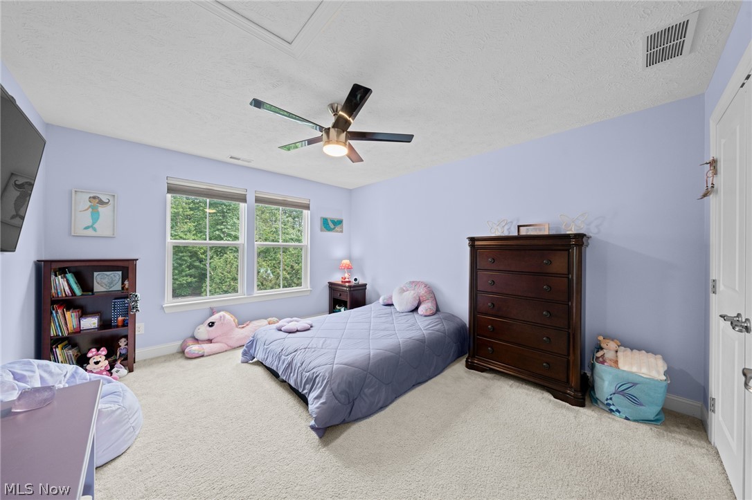 Palmer Village Sub 5 - Residential
