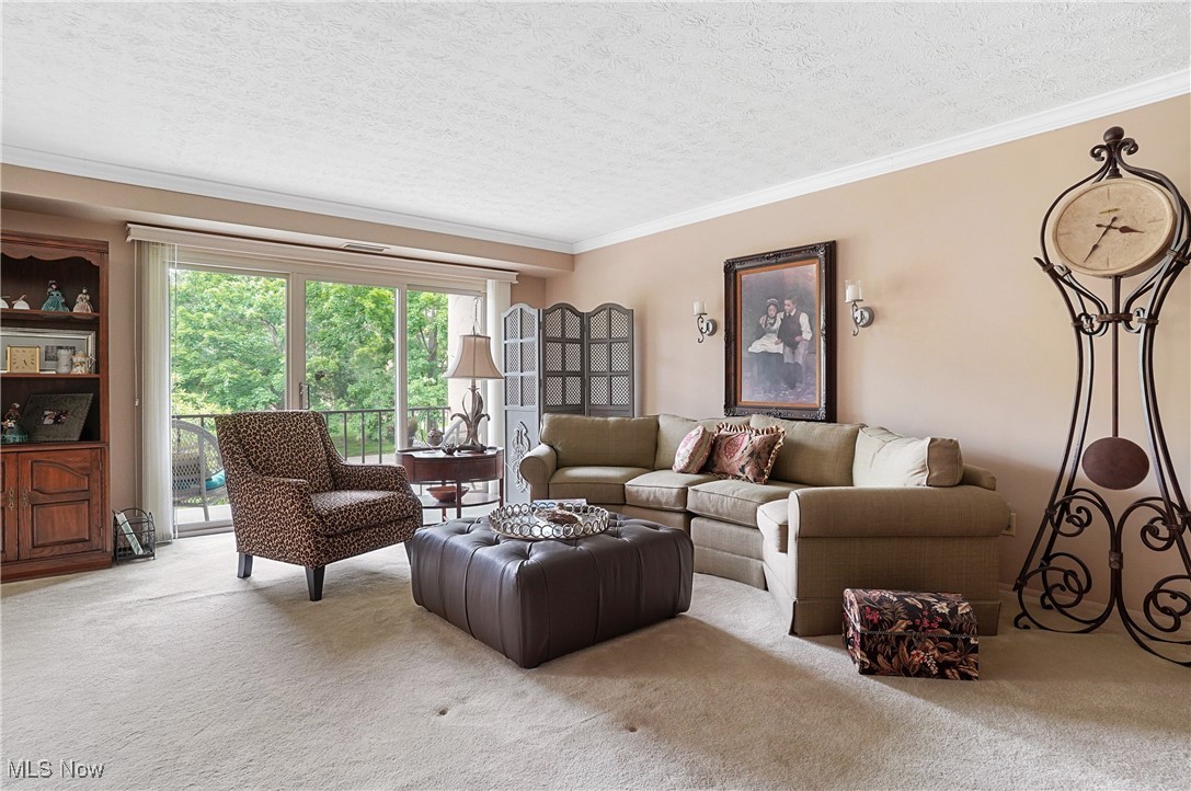 Westwood Village Condo - Residential