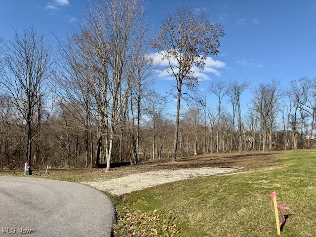Stunning, improved building lot ready for your dream build! This lot has been cleared and excavated and has natural gas, electric and cable available. Conveniently located within minutes of Interstate 70 and major shopping centers. Only 15 minutes to Wheeling, WV and 30 minutes from Cambridge, OH. Contact your agent for a list of building restrictions today!