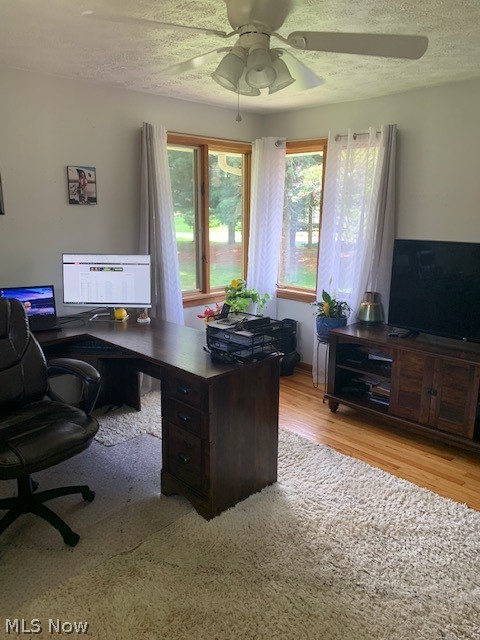 South Plaza Estates - Residential