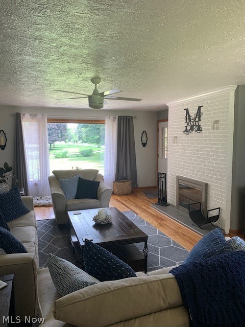 South Plaza Estates - Residential