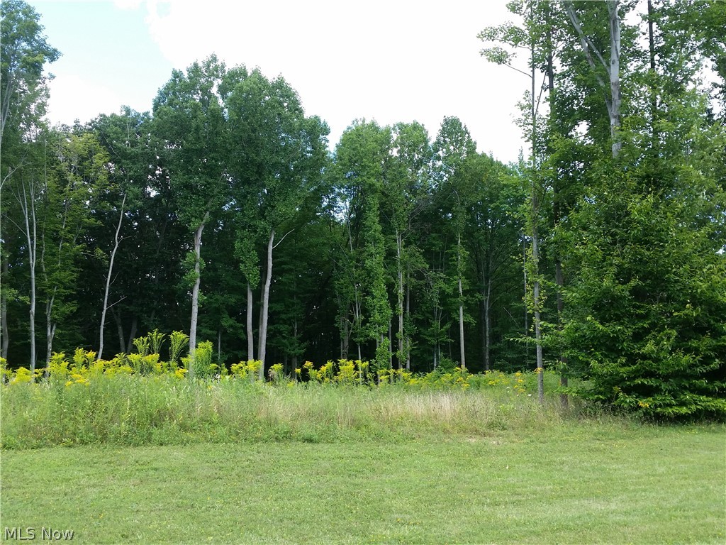 Scenic Vly Reserves - Land